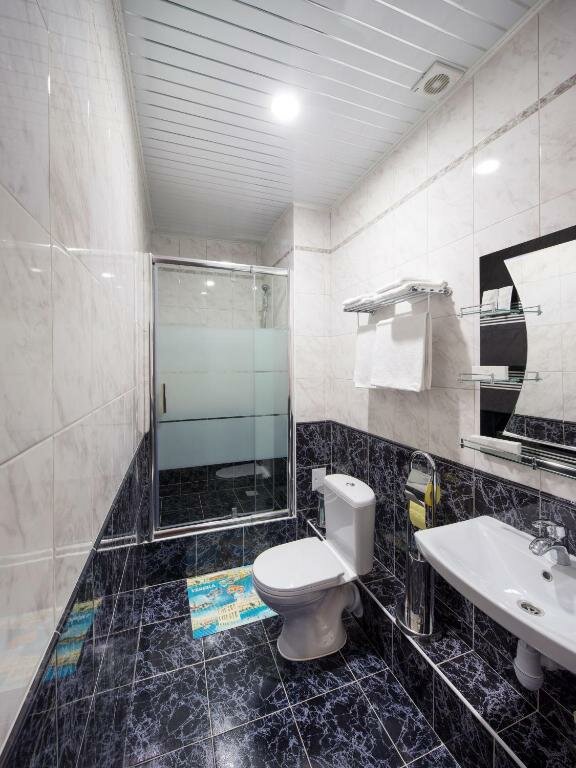 Гостиница Элегант Новосибирск-46