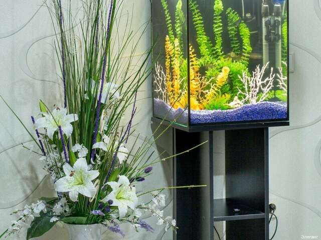 Гостиница Элегант Новосибирск-66